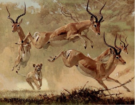 Африканские животные живопись