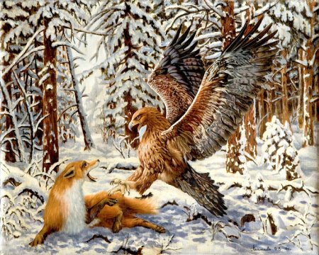 Иллюстрации художников-анималистов