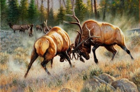Картина с боевыми лосями