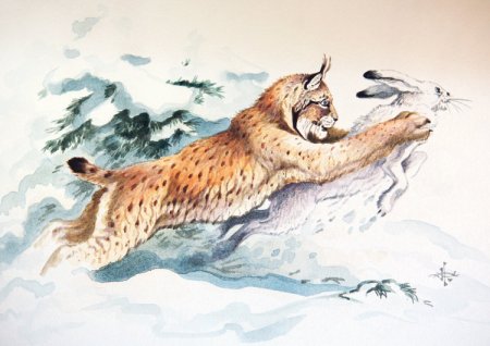 Рысь на охоте живопись