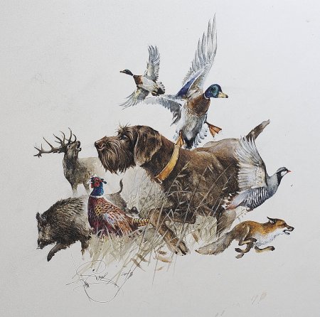 Охотничья тематика