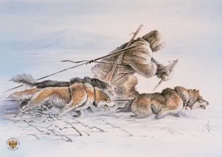 Охотничьи зарисовки