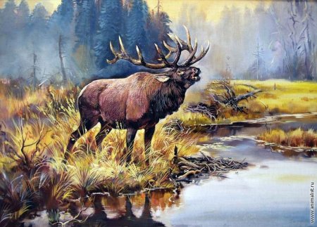 Виктор Бастрыкин художник-анималист