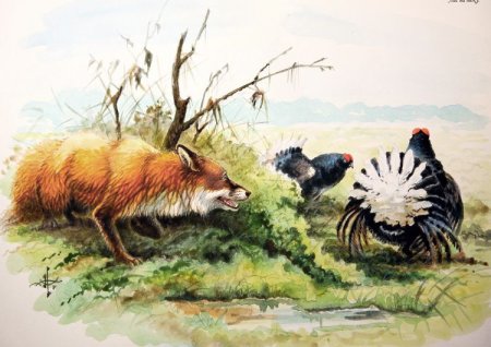 Иллюстратор Александр Дегтев