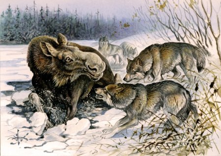 Художник анималист Александр Дегтев охотники