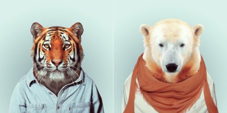 Голова животного