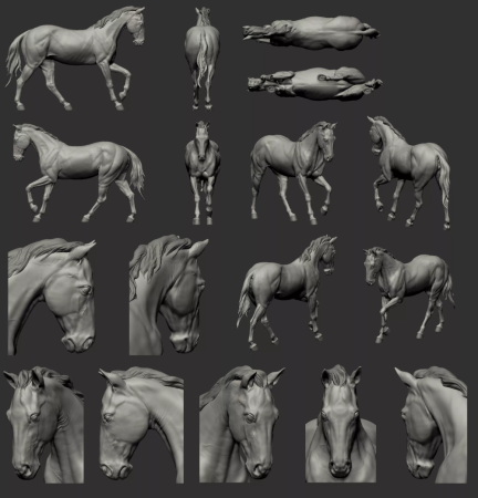 Лошадь сзади референс