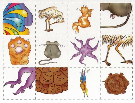 Отгадай животное по части тела