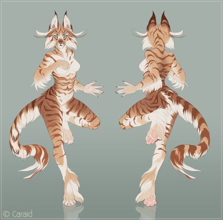 Окрасы фурсьюта тигра ,референс