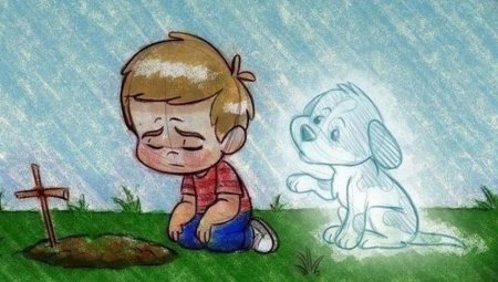Смерть любимой собаки