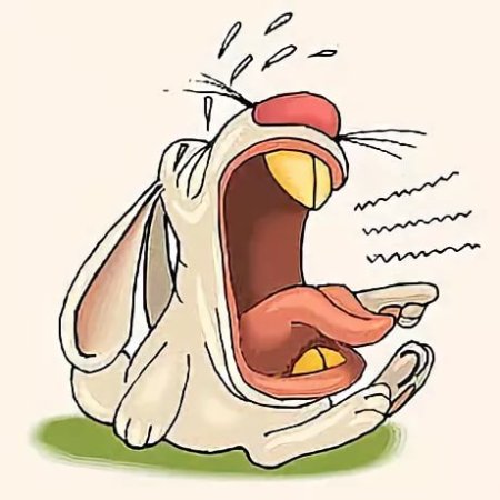 Заяц плачет