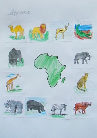 Рисунок на тему материки