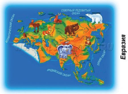 Континенты для детей дошкольного возраста