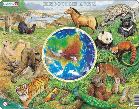 Животный мир Азии для детей