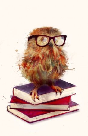 Сова с очками