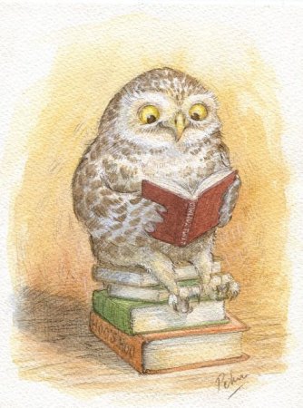 Совушка с книжкой