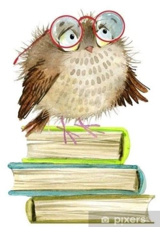 Совушка с книгой