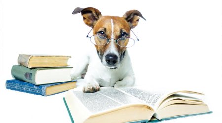 Животное с книжкой