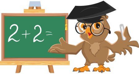 Сова учитель математики