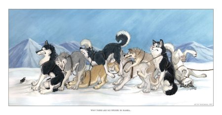 Собачья упряжка арт