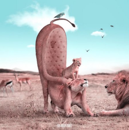 Жюльен Табет