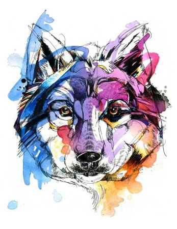 Волк акварелью