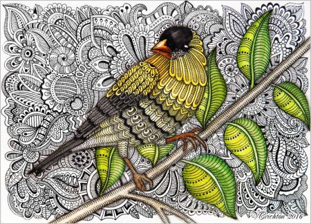 Зенарт птицы