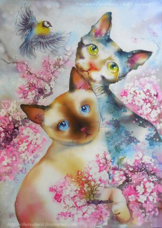 Горячий батик кот
