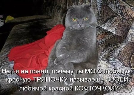 Приколы с животными с надписями