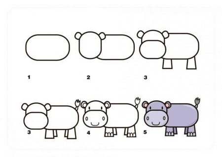 Как нарисовать бегемота поэтапно