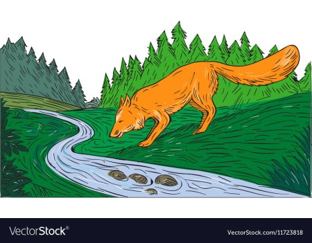 Лисенок река иллюстрация