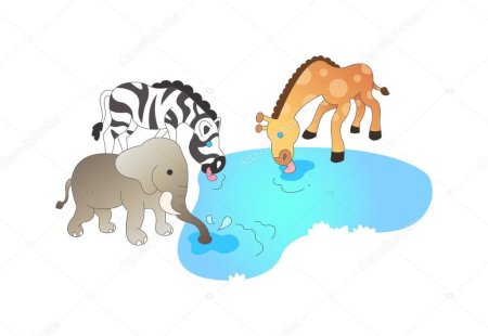 Животные на водопое картинки для детей