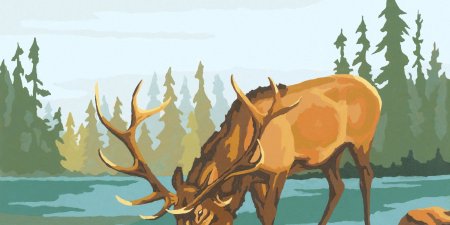 Нарисовать оленя пьющего воду