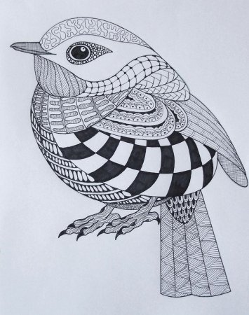 Зентангл птицы