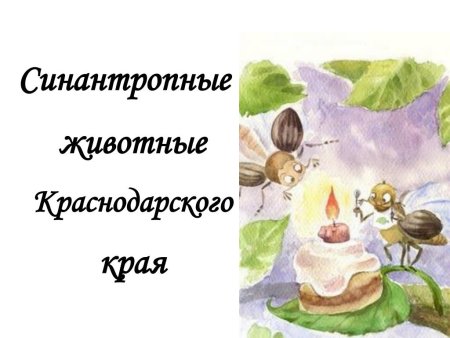 Синантропные виды животных