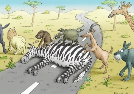 Карикатуры с животными