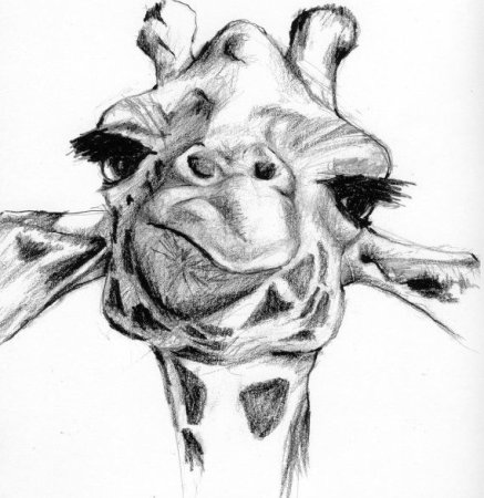 Карикатурные животные