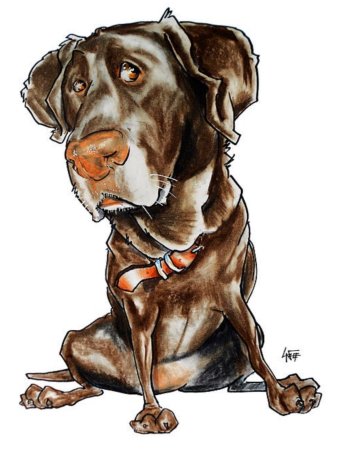 Шарж с собакой