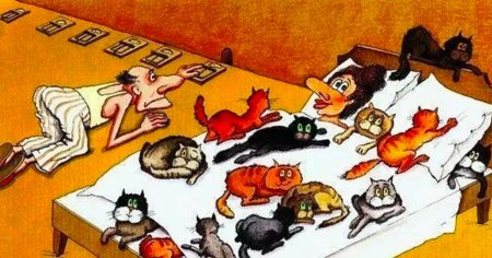 Карикатуры про котов