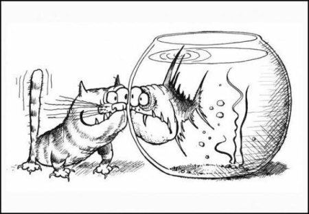 Карикатуры с котами