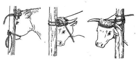 Методы фиксации КРС