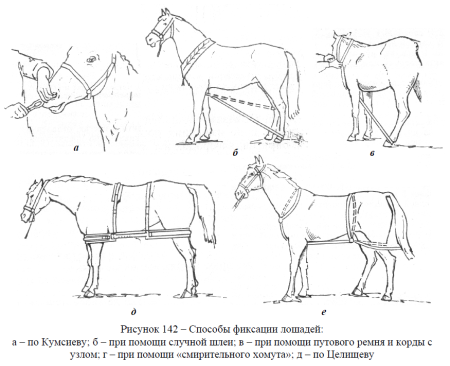 Методы фиксации КРС