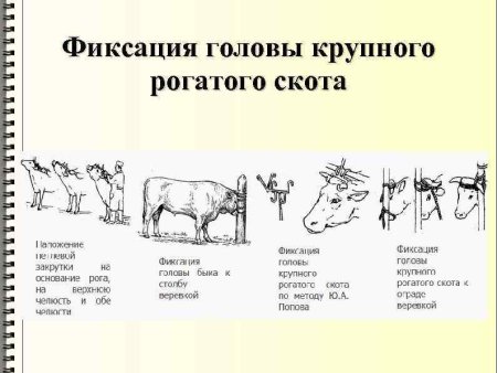 Методы фиксации КРС