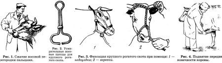 Фиксация КРС