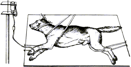 Способы фиксации КРС