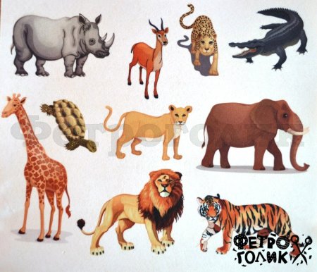 Изображение диких животных для детей