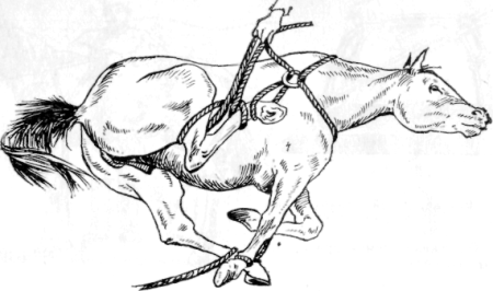 Повал КРС по Гессу