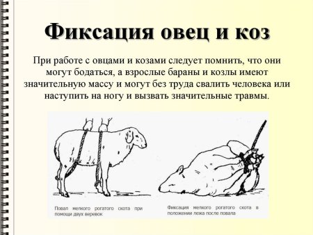 Методы фиксации КРС