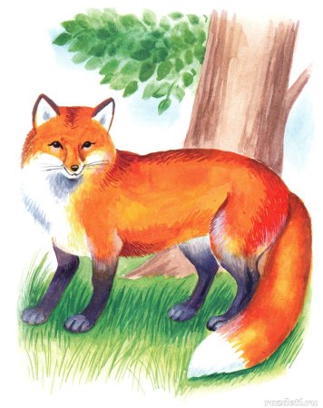 Лиса для детей