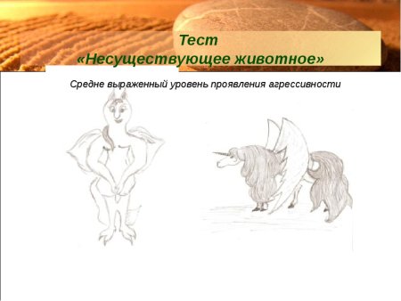 Несуществующее животное Результаты